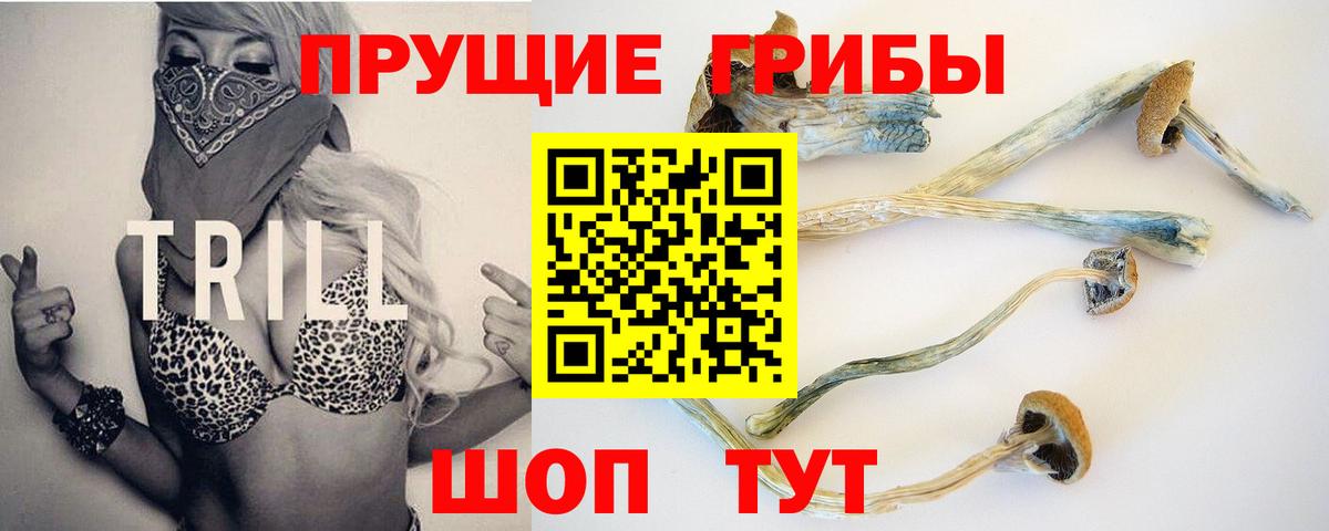 Псилоцибиновые грибы Magic Shrooms Волгодонск